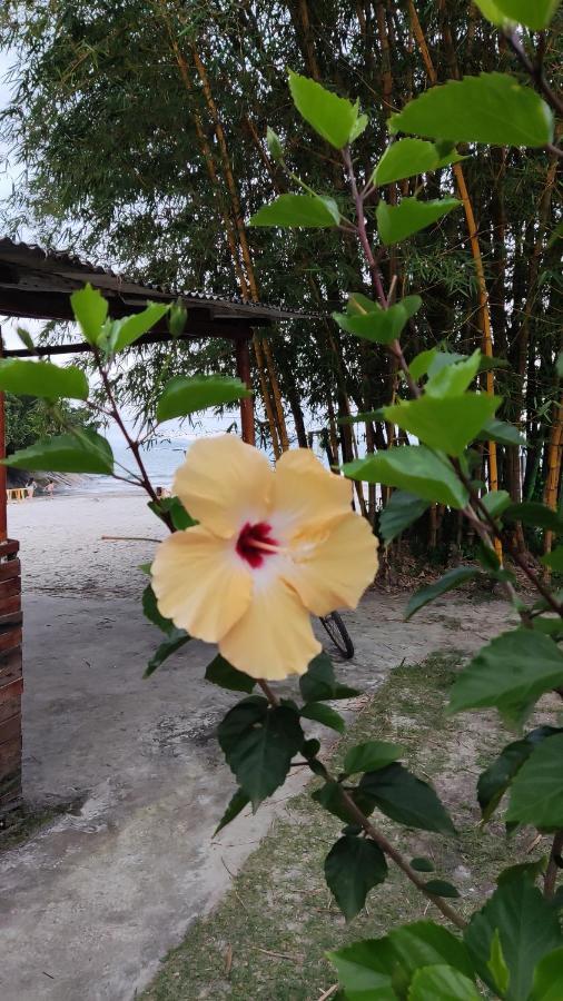 Suíte temporada cantinho do sossego prainha de Mambucaba paraty Araquari Exterior foto